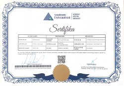 Grand Design I. Arya