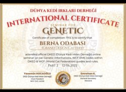 Grand Design I. Arya