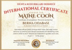 Grand Design I. Arya