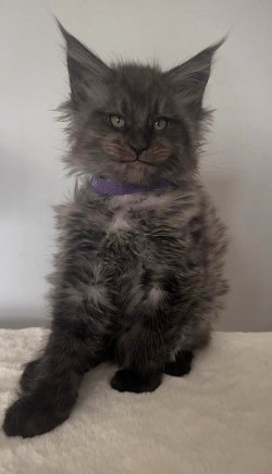 CASPER (REZERVED)