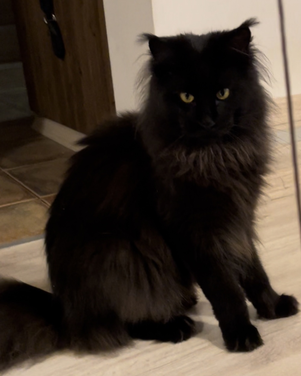 Grand Design Baileys(