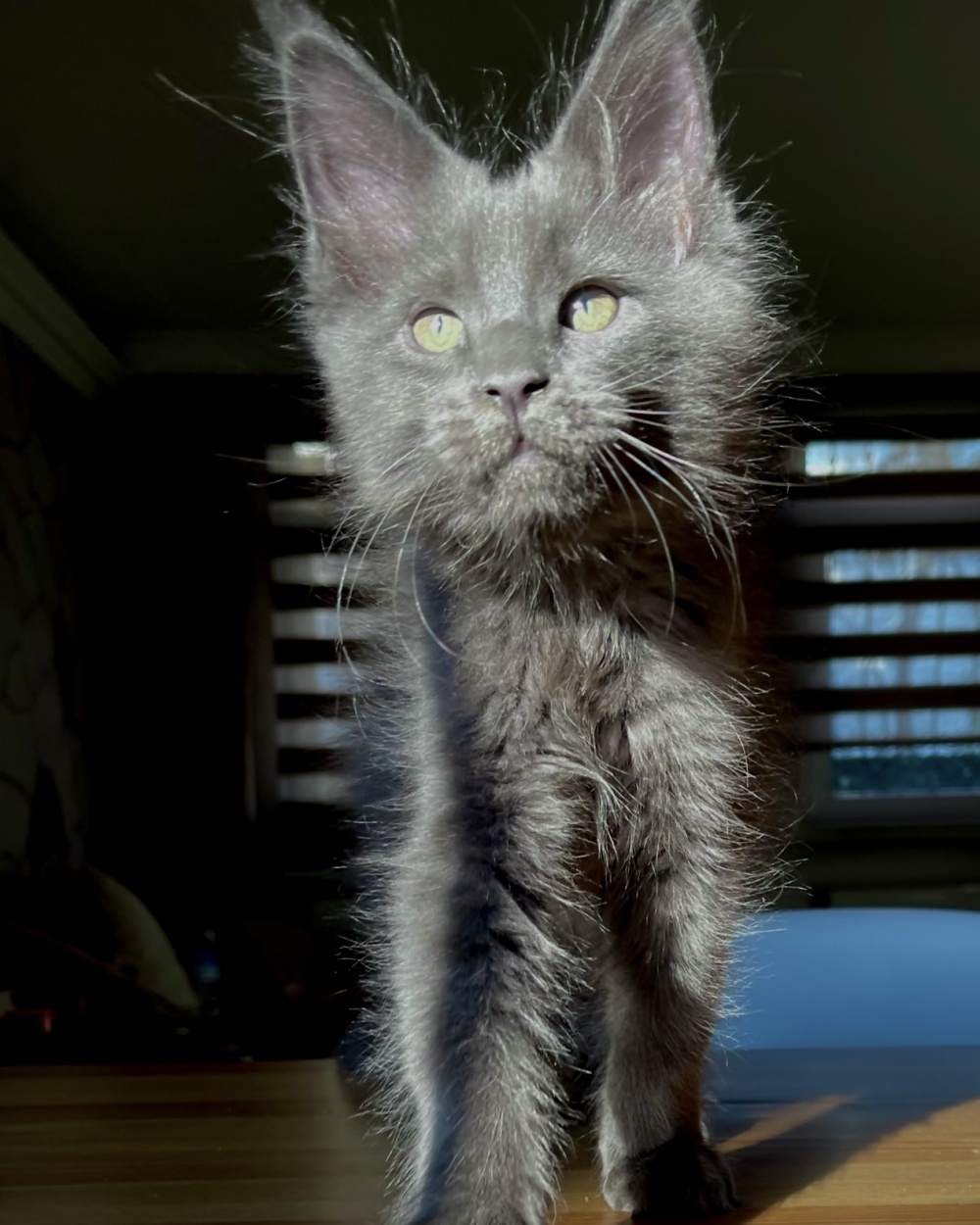 Grand Design Bomonti