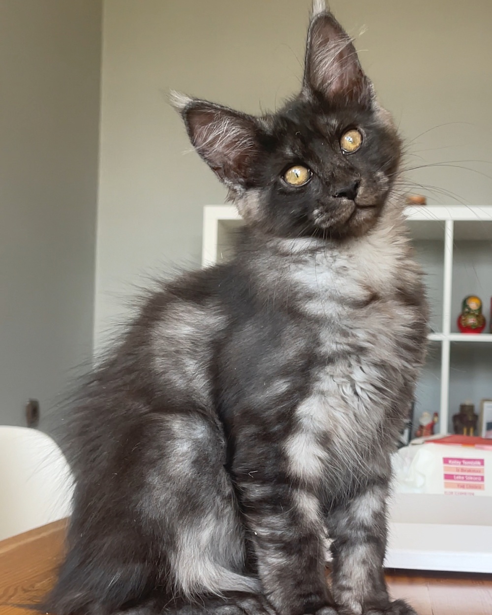 Grand Design Helga Zeyna