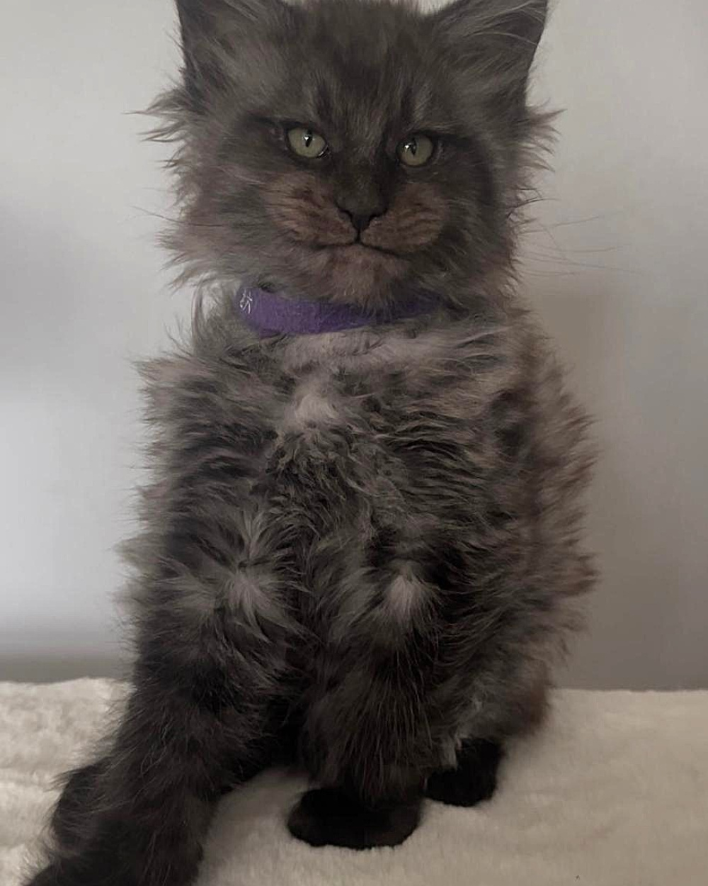 CASPER (REZERVED)