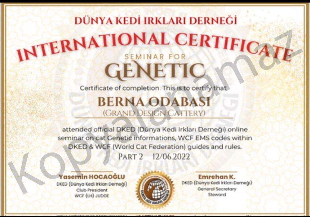 Our Certificates