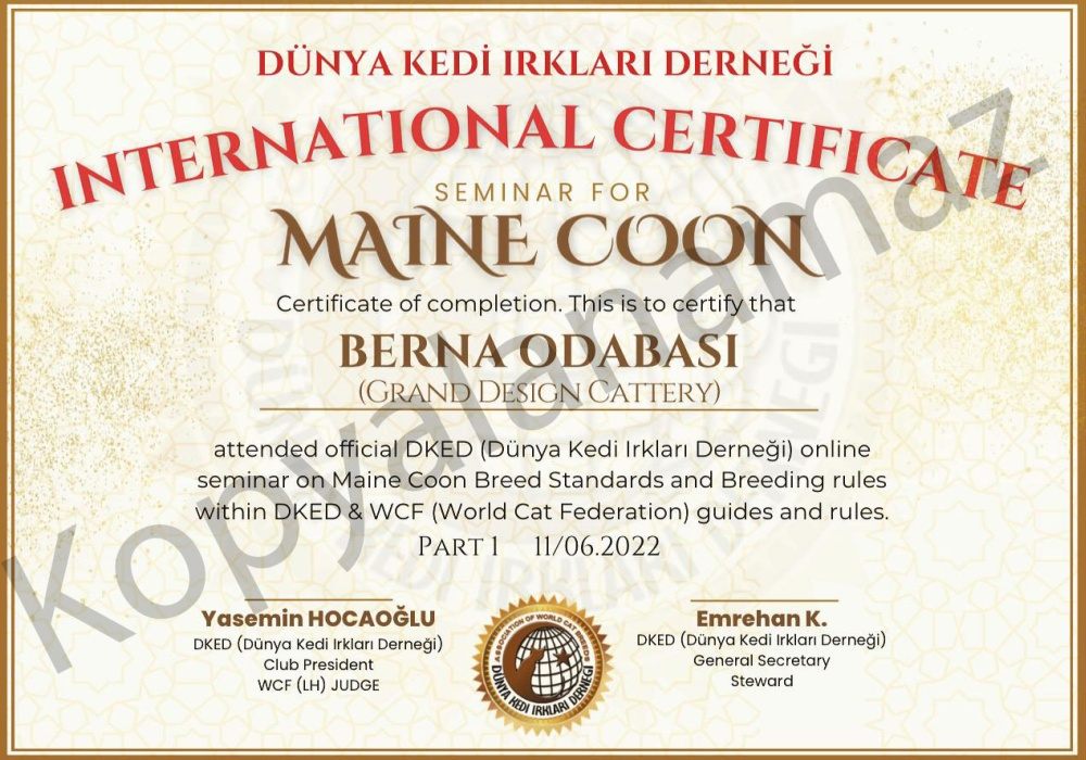 Our Certificates