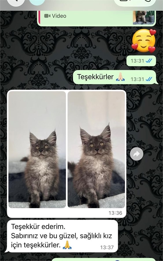 Pascal Evine İran’A Ulaştı